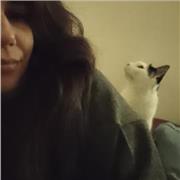 Clases particulares de inglés - Preparación para medical MOCK test y empleos de interpretación médica